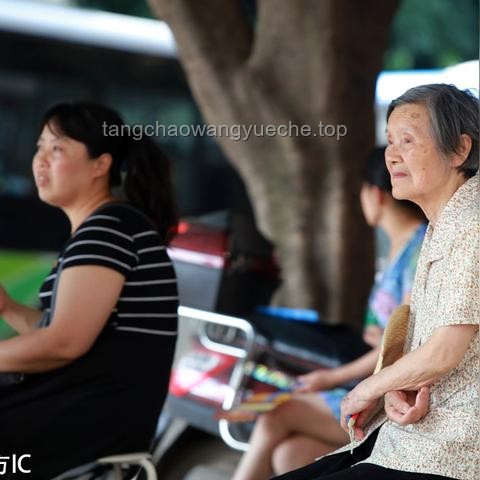 85后家长的第一次高考陪考指南：助力孩子赢在起点